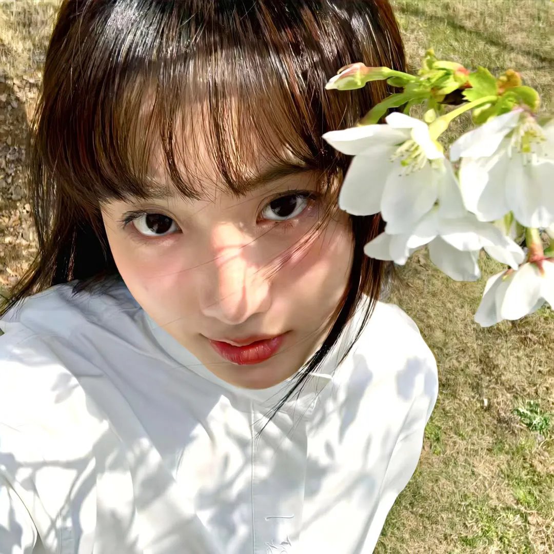 曹雪芹与红楼梦